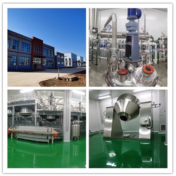 P-Carborane Dicarboxylic Acid,23087-99-2,C4H2B10O4 best